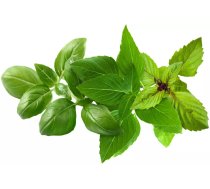 Click and Grow Plant Pod Basil Variety Mix PPMBVX9 — 9 kapsulas viedajam iekštelpu garšaugu dārzam