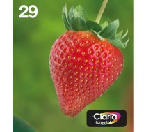 Epson Strawberry C13T29864511 tintes kārtridžs 1 pcs Oriģināls Standarta produktivitāte Melns, Tirkīzzils, Fuksīns, Dzeltens