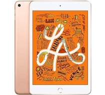 Apple iPad Mini 5 32 GB Wi-Fi — zelts (atjaunots) ANEB07YYN5HKRT