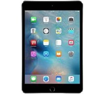 Apple iPad Mini 4 64 GB Wi-Fi — Space Grau (Generalüberholt) ANEB07BKMY3G4T