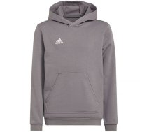 Adidas Entrada 22 Hoody Jr sporta krekls H57515 / 176cm