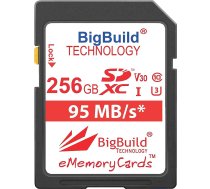 BigBuild Technology 256GB UHS-I U3 95MB/s atmiņas karte Canon EOS 1200D, 1300D, 2000D, 4000D, 5DS, 5DS R, 77D, 800D, 80D, 9000D, 5D Mark IV, M, 5D Mark IV, ,0 M50, M6, R kamera ANEB07QC4DPKTT