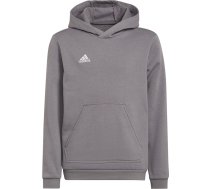 Svīteris ENTRADA 22 Hoody H57515 / pelēks / 152 cm