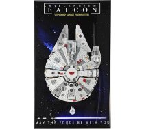 Lego Star Wars Millennium Falcon fotorāmis 75257 75257 75 x 45 cm