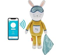 Fisher-Price GMN58 Dream Bunny Sleep Companion, plīša rotaļlieta ar mūziku maziem bērniem, ar miega apmācību, gaismu un skaņām, rotaļlieta mazuļiem no 18 mēnešiem