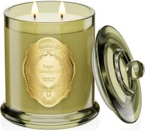 M&SENSE Aromatizēta svece Lielas 2 daktu sojas sveces Salvija Eikalipts Aromatizētas sveces stiklā 12,7 oz 360 g Dabīgs sojas vasks 70 stundu degšanas laiks Sveces Dāvanas sievietēm, mājas aromātiskās sveces