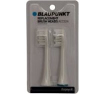 Blaupunkt ACC024