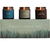 WILDRACE sveču dāvanu komplekts | Luxury and Nature with Forest Theme | Aromterapijas aromātiskās sveces sievietēm un vīriešiem | Petrichor svece "Lietus un pērkons" kā dzimšanas dienas dāvana