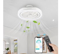 NACATIN Griestu ventilators ar apgaismojumu un tālvadības pulti, 30 cm kluss LED akrila griestu ventilators, ar nepārtrauktu aptumšošanu un regulējamu vēja ātrumu, ideāli piemērots guļamistabai (balts, apaļš)