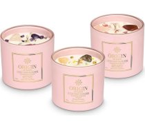 ORIGIN OF EARTH aromātiskās sveces stiklā (3 gab.) 360 g, kolekcija Love Candle ar kristāliem un dārgakmeņiem, dabīgā sojas vaska svece, 60 stundu degšanas laiks, ar saldiem un svaigiem aromātiem