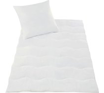 Delindo Lifestyle sega 135 x 200 cm, komplekts ar spilvenu 80 x 80 cm, sapņu sega, plānā, vieglā vasaras segā, Oeko-Tex Standard 100, piemērota alerģiju slimniekiem
