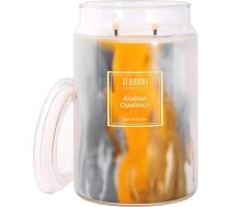 HZ-WONMIO aromātiskā svece | upeņu un vaniļas | 2 daktis | 110 stundu degšanas laiks | aromterapija | Ziemassvētku svece | 20 oz