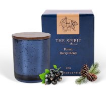 The Spirit Store Ziemassvētku aromātiskā svece Ziema | Dāvana sievietēm draudzenei dzimšanas dienā | Wellness dāvana Dabīga sojas svece Liela