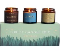 WILDRACE sveču dāvanu komplekts | Luxury and Nature with Forest Theme | Aromterapijas aromātiskās sveces sievietēm un vīriešiem | Petrichor svece "Lietus un pērkons" kā dzimšanas dienas dāvana