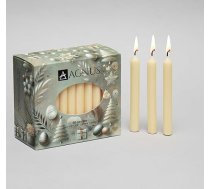50 Champagner 11,4 cm lange natürliche Baumkerzen Christingle Chime Pyramide Christbaumkerzen - rauchfrei, tropffrei, goldene Flamme - Haushalt, Abendessen, koscher, geruchlos, sauber, lang brennend,