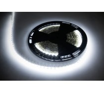 LED virtene 25m (60x5050SMD/m), auksti balta, 12V