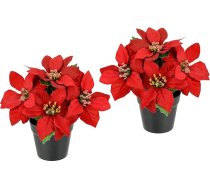 Mākslīgais zieds Poinsettie podā 17 cm Poinsettia Ziemassvētku zvaigzne Ziemassvētku dekorēšana Ziemassvētku ziedu dekorēšana Mākslīgais zieds Ziemassvētku dekoratīvais zieds X'Mas pušķis Dāvanu dekorēšana Adventa