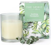 2 aromātisko sveču komplekts | Ziemassvētku dāvana sievietēm draudzenei dzimšanas dienā | Wellness dāvana Dabīga sojas dāvana | Kokosriekstu ziedi, savvaļas tīkkoks, eikalipts