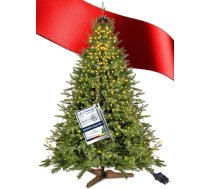 Menz Mākslīgā Ziemassvētku eglīte 180 cm LED 2-in-1 komplekts, mākslīgā Ziemassvētku eglīte ar pasaku gaismiņām, blīvi PVC zari, izturīgs eglīšu statīvs, viegli samontējama un uzglabājama