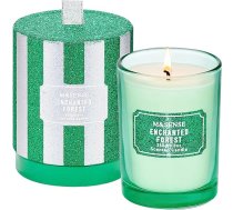 M&SENSE Enchanted Forest Cedar Wood Scented Candle in Glass 250 g 50 Hours Burning Soy Wax Candle Clean Burning Non-Toxic Organic Candle Dāvana sievietēm Piemērota mājas dekorēšanai