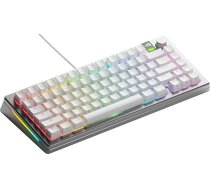 Glorious Gaming GMMK 3 PRO: TKL 75 %, Aluminiumgehäuse & Dichtungssystem, Hot-Swap (MX-Schalter), Schalldämmung, angepasste Tastenkappen, Amerikanische QWERTY - Silber