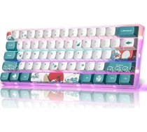 MIHIYIRY Mechanical Gaming Keyboard 60% ar sarkaniem slēdžiem 61 taustiņu mehāniskā tastatūra ar RGB apgaismojumu, kompakta mini USB vadu tastatūra WIN/Mac/PC ierīcēm