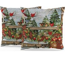 ggaimwf Ziemassvētku spilvenu pārvalki 60 x 60 cm Vintage Farmhouse spilvenu pārvalks Kardināls Ziema Daba Krāsains lina spilvens Guļamistaba Priecīgus Ziemassvētkus Dzīvojamā istaba Āra komplekts no 2