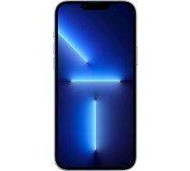 iPhone 13 Pro 128 Go - Zils