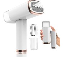 Vertikales Bügeleisen, 1000 W, vertikal, tragbar, abnehmbarer Wassertank 150 ml, schnelles Aufheizen 20 s, schnelle Entfernung, kompakt und tragbar für Zuhause, Büro, Reisen