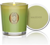 M&SENSE Aromatizētas sveces glāzē Eikalipts Salvija, 290 g aromātiskās sveces, dabiskās sojas sveces, krāsainas sveces dāvanas sievietēm un vīriešiem, aromterapijas sveces relaksācijai, 10,2 oz, 55 stundas degšanas laiks