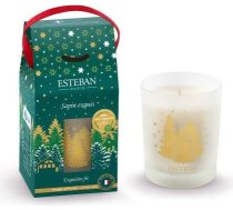 Esteban - Uzlādējama aromātiskā svece 180 g - Izsmalcināta egles smarža - Augstas kvalitātes vasks - Roku darbs - Vairāk nekā 35 stundas smaržas - 98% dabīgas sastāvdaļas