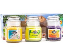 Sveču brāļu aromātisko sveču komplekts glāzē ar vāku, pludmales bārs, 3 aromātiskās sveces kā dāvanu komplekts, mazās aromātiskās sveces (kokosriekstu, citronu un tekilas saullēkta), dāvanu komplekts Mātes dienai