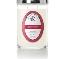 Colonial Candle Scented Candle in Glass with Lid | Apple Orchard | Ābolu dārzs | Ābolu aromāta svece | Svece ar vairākiem daktīm | Sveces ilgs degšanas laiks (80 h) | Svece balta (312 g)