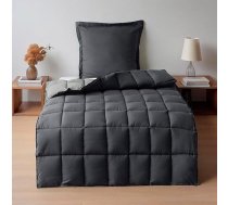 HIG Sega 135 x 200 cm + 1 spilvendrāna 80 x 80 cm, OEKO-TEX sertificēta, ar šuvi, 1300 g pūkas (250 GSM), mīksta un pūkaina, pelēkā krāsā