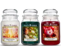 Price's Candles 3 lielu aromātisko sveču komplekts glāzē - Matēta egle, Svētku garšvielas, Balta ziema | Ilgstošas, tīri degošas aromātiskās sveces mājai | 450 stundu degšanas laiks sveču komplekts