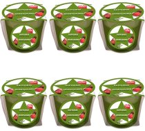 pajoma® Mini aromātisko sveču komplekts 6 Advent Magic Christmas Edition 45 g vaska svara degšanas laiks 10 stundas elegantā dāvanu iepakojumā Premium kvalitāte
