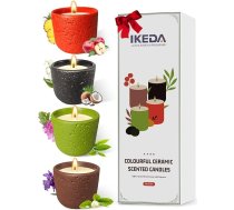 Aromātisko sveču komplekts | Aromterapijas sveču komplekts | Pārnēsājamās ceļojumu sveces | Dekoratīvās mājas sveces sievietēm | Ilgstošas aromātiskās sveces Ziemassvētkiem, vannas istabai, jogai, aromterapijai un stresam