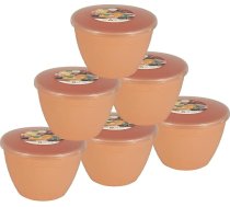 Pasteļpērkožu izlietne un vāks 570ml/1 pinta caurspīdīgs 6 gab. iepakojums)