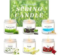 Pavasara aromāta svece stiklā, 6 aromātisko sveču komplekts sievietēm vīriešiem, 600 g dabīgā sojas vaska sveču komplekts mājai, smaržīgas aromātiskās sveces, dāvana dzimšanas dienā, Valentīna dienā, jubilejā