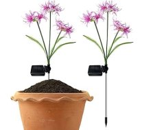 Generico LED-Lichterkette für den Außenbereich, wasserdicht, für den Außenbereich, solarbetrieben, 2 Stück, wasserdicht, bunte LEDs, dekorativ für Wege und Gärten