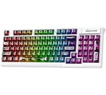 ZIYOU LANG ×FREEWOLF M95 caurspīdīga membrānas tastatūra, vadu spēļu tastatūra ar RGB fona apgaismojumu, 96 klusi taustiņi ar mehāniskās rakstīšanas sajūtu, 26 taustiņi pret spoku (melni)