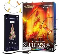 Twinkly Strings USB-C sveces 100 LED, LED sveces pasaku gaismas, RGB LED gaismas, daudzkrāsainas, Valentīndienas gaismas, saderīgas ar Alexa un Google Home, USB-C, zaļš kabelis, 6 m