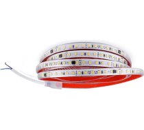 12 m silti balta LED lente ar IC, tieši uz maiņstrāvas 220 V, pašlīmējoša, 2835 SMD 120 LED/m lente, spilgts apgaismojums, IP65 ūdensizturīga