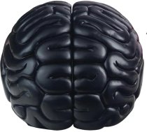 JHP Brain Bookends, 6,5 collu garš dekoratīvs sveķu grāmatu skapis grāmatu turētājs plauktu dalītājs Heavy Duty Bookends mājas vai biroja grāmatu paliktņu komplekts