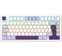 EPOMAKER x Aula F75-ISO mehāniskā klaviatūra, bezvadu, karsti maināmā spēļu tastatūra, 75% procenti, vācu izkārtojums QWERTZ, BT/Wireless/USB-C, pogas un RGB (gaiši zila, LEOBOG Reaper Switch)