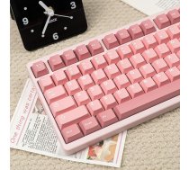 121 taustiņu dubultošanas taustiņu vāciņu komplekts Cherry Profile Pink Keycap Set Fit for 61/64/87/104/108 Cherry Mx Switch Mechanical Keyboard