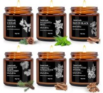 6 sveču dāvanu komplekts vīriešiem, aromātiskas stikla sveces, aromātiskas sveces ar vāku, pārnēsājamas alvas sveces, dabīgi aromāti, ilgstoša atmosfēra, ideāli piemērots vīriešiem