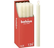 Bolsius rustikālas koniskās sveces, krēmkrāsā, 16 gab. iepakojumā, 27 x 2,3 cm, degšanas ilgums 13 stundas, bez aromāta, no dabīgās augu vaska, bez palmu eļļas, Adventa