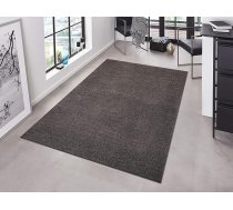 Hanse Home Pure paklājs – blīvs, īsspalvu, izturīgs paklājs viesistabai, vienkrāsains, moderns, piemērots ēdamistabai, viesistabai, bērnistabai, priekšnamam, guļamistabai un virtuvei – antracīta krāsā, 200 x 300 cm