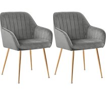 CHUN YI Set of 2 Dining Room Chairs, Kitchen, Metal Legs, Ergonomic Design for Lounge, Dressing Table, Grey 2